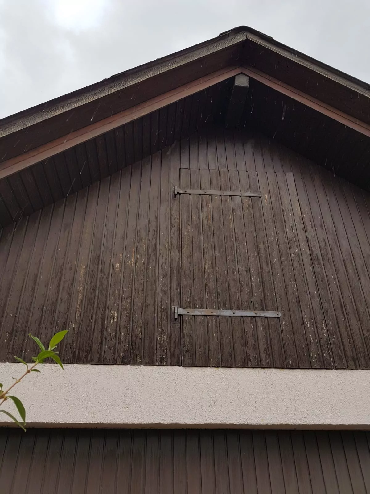 Eine braune Holzgiebelwand eines Gebäudes mit sichtbarer Maserung und einer kleinen Fensterluke. Das Dach ragt über die Wand hinaus, in der unteren linken Ecke sind einige Blätter einer Pflanze zu sehen. Der Himmel ist bedeckt.