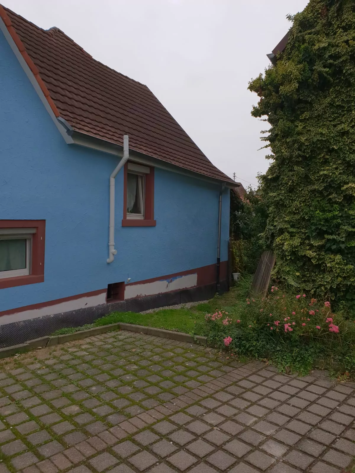 Kleines blaues Haus mit schrägem braunem Dach und einem einzigen Fenster an der Seite. Ein Ziegelweg verläuft neben dem Haus. Im Vordergrund ist ein Garten mit rosa Blumen zu sehen, rechts ist eine mit Grünpflanzen bedeckte Wand.