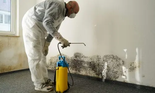 Eine Person in Schutzanzug, Maske und Handschuhen geht vorsichtig gegen Schimmel vor. Mit einem Sprühgerät zur effektiven Schimmelsanierung in Ihringen behandelt sie die Wand, während sie auf dem mit Teppich ausgelegten Boden steht. Neben ihr steht links neben dem Fenster ein gelb-blaues Sprühgerät.